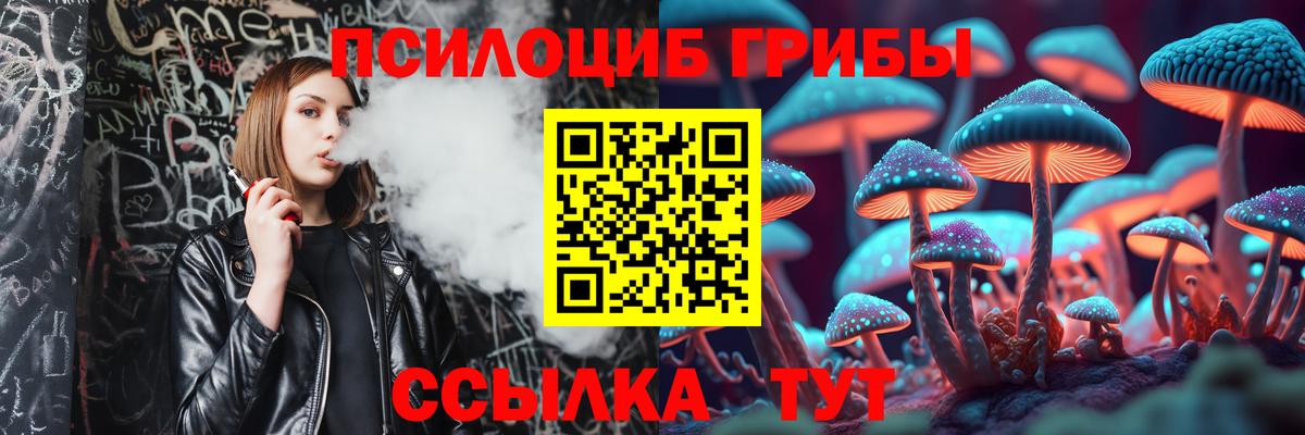 Псилоцибиновые грибы прущие грибы Сунжа